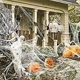 AMLOOPH Spinnennetz Halloween Deko Set, 120g Weiß Dehnbare Spinnweben Halloween Spinnennetz Dekoration Mit 40 Plastik Spinnen für Deko Outdoor Garten Gruselig Innen Horror Party Dekoration